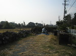 IMG_1307.JPG
