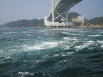 IMG_1460.JPG